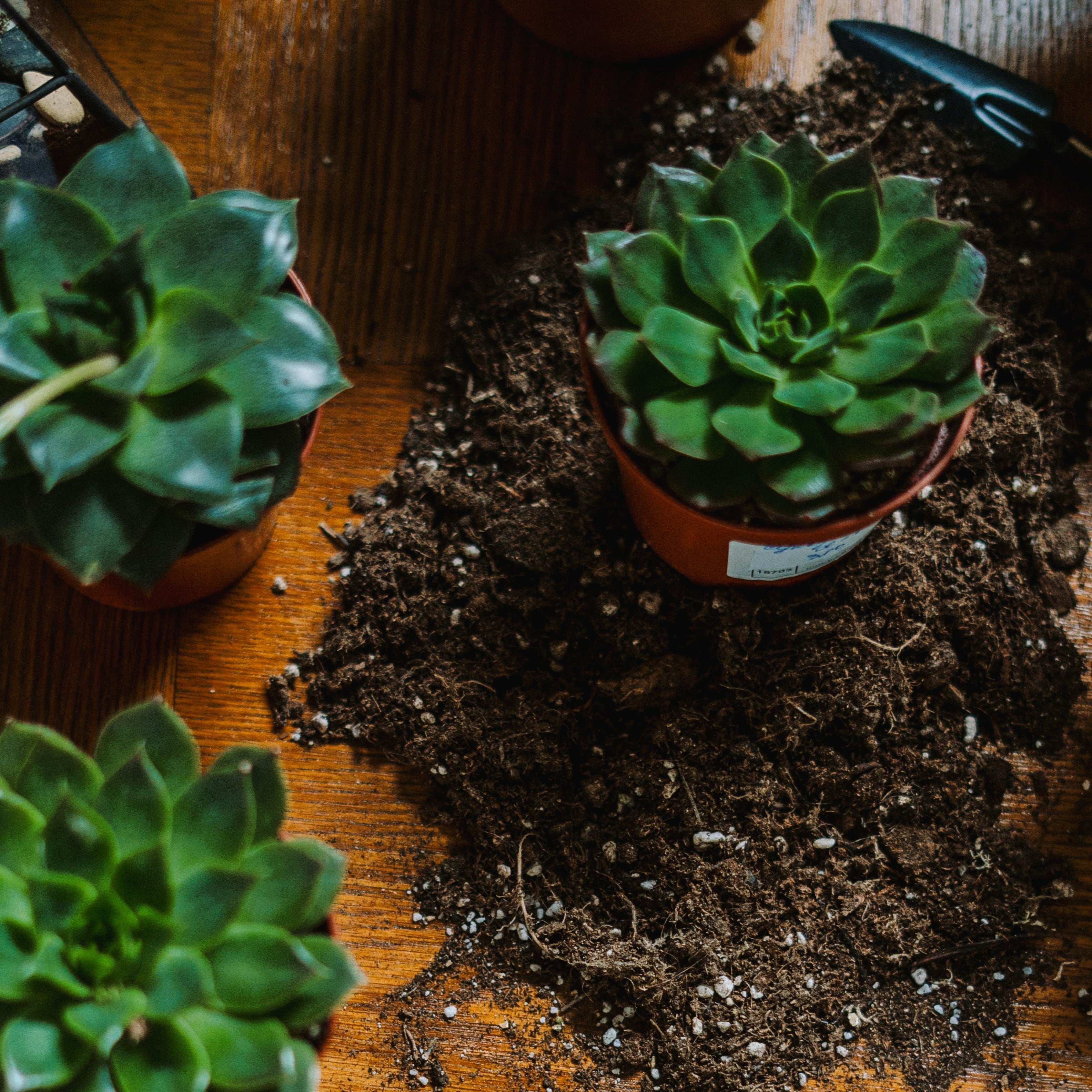 Soils