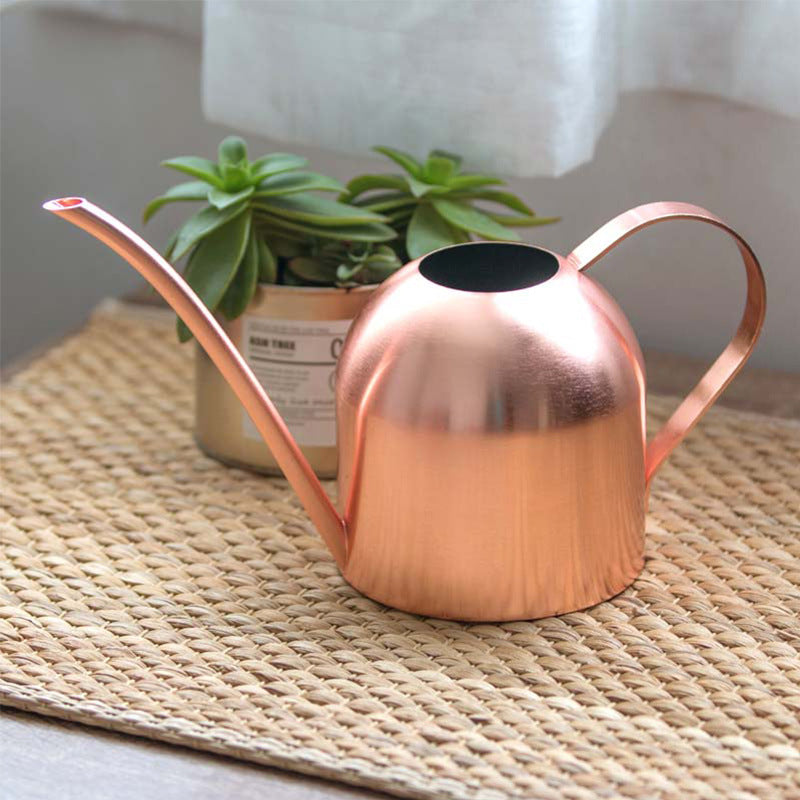 Premium Stainless Steel Plant Watering Can - 1000ml Volume