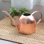 Premium Stainless Steel Plant Watering Can - 1000ml Volume