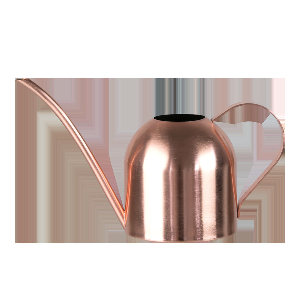 Premium Stainless Steel Plant Watering Can - 1000ml Volume