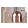Premium Stainless Steel Plant Watering Can - 1000ml Volume