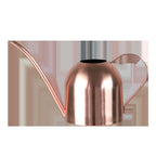 Premium Stainless Steel Plant Watering Can - 1000ml Volume