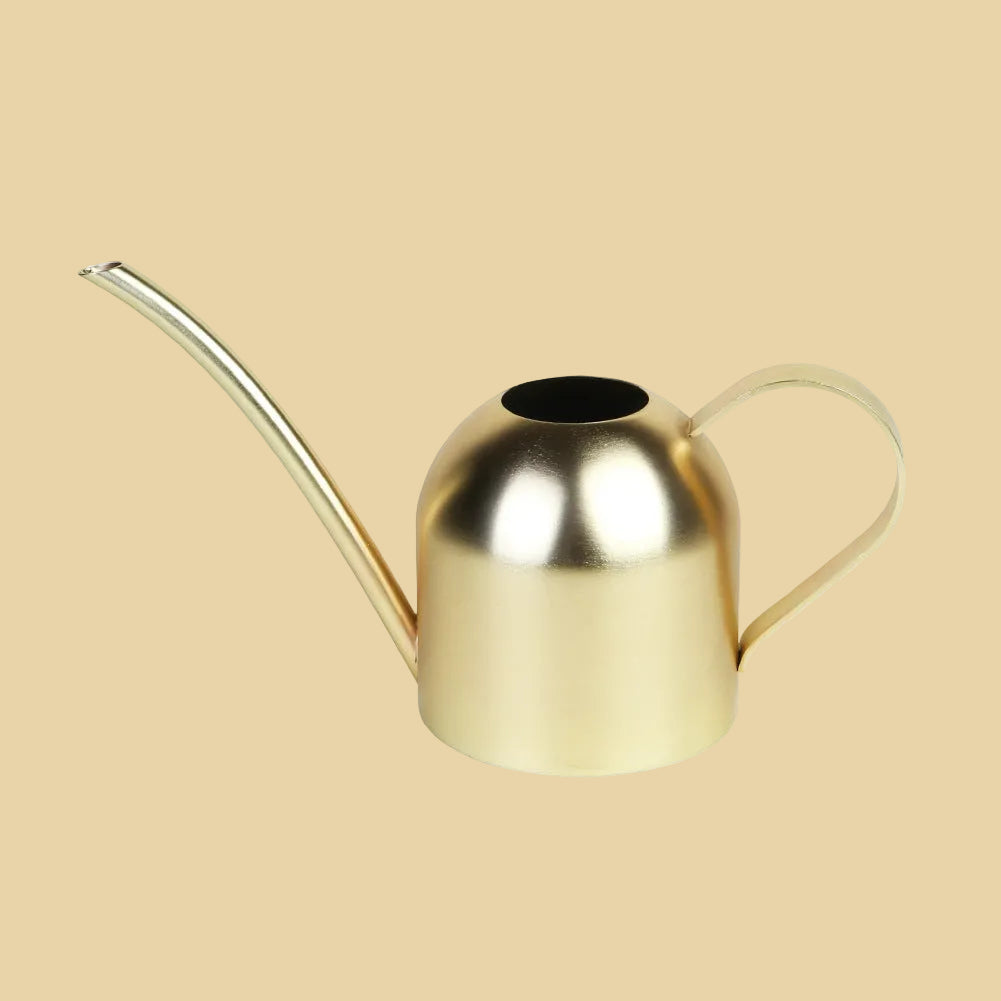 Gold watering can on a plain background