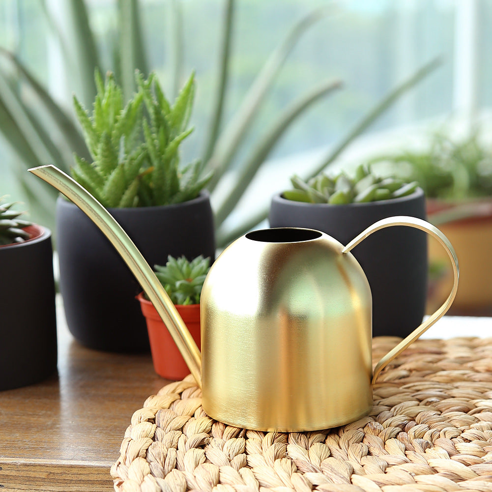 Premium Stainless Steel Plant Watering Can - 1000ml Volume