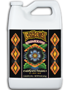 Bush Doctor Boomerang - 2-0.2-0.3 NPK Plant Reviver