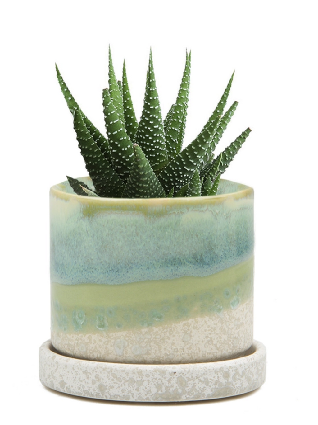 Cement Green Ceramic Planter - 3 and 5 Inch, Handmade