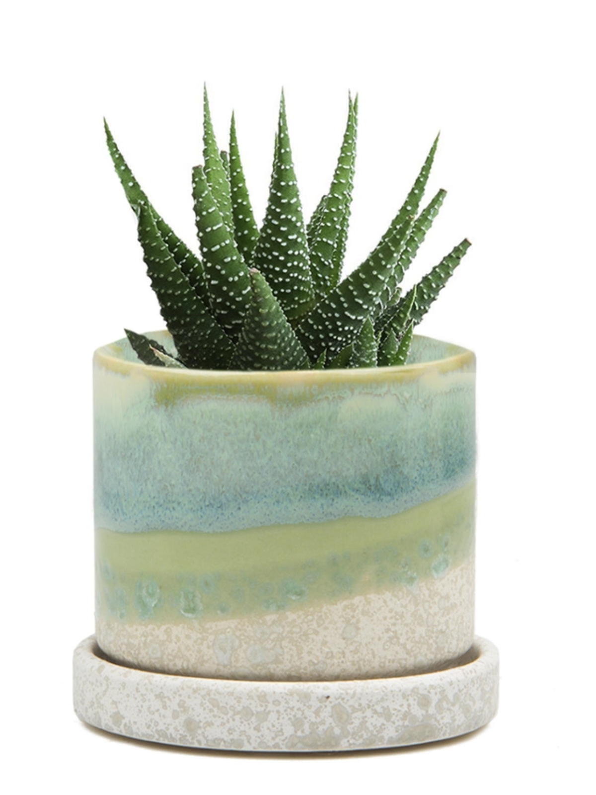 Cement Green Ceramic Planter - 3 and 5 Inch, Handmade