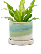 Cement Green Ceramic Planter - 3 and 5 Inch, Handmade