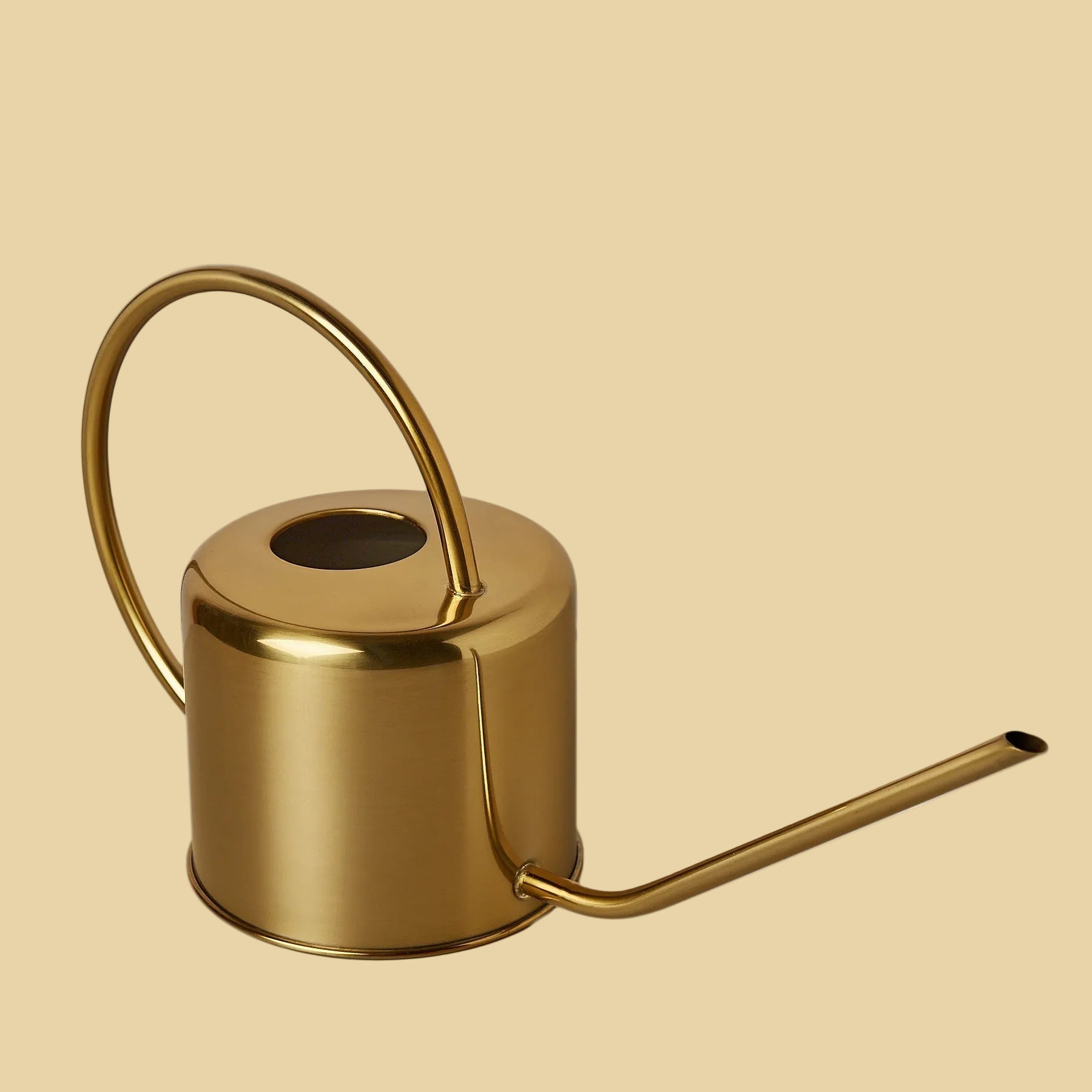 Gold watering can on a plain background
