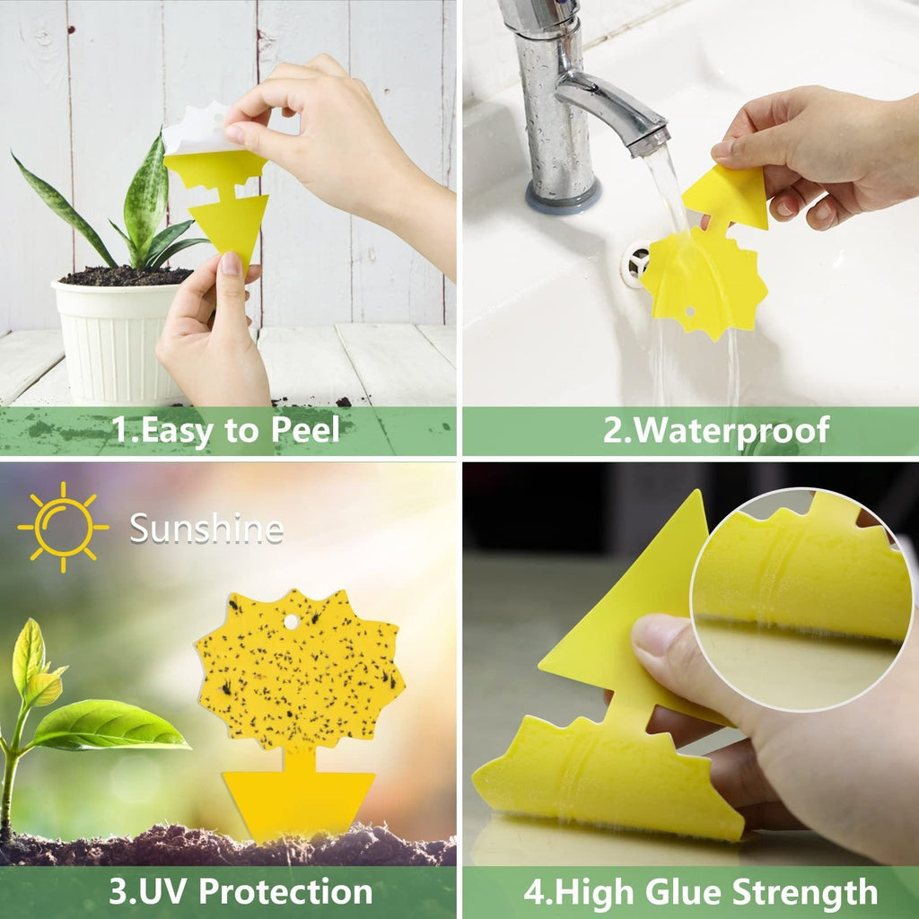 Plant Sticky Trap - For Gnats and Pest