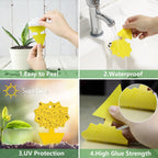 Plant Sticky Trap - For Gnats and Pest