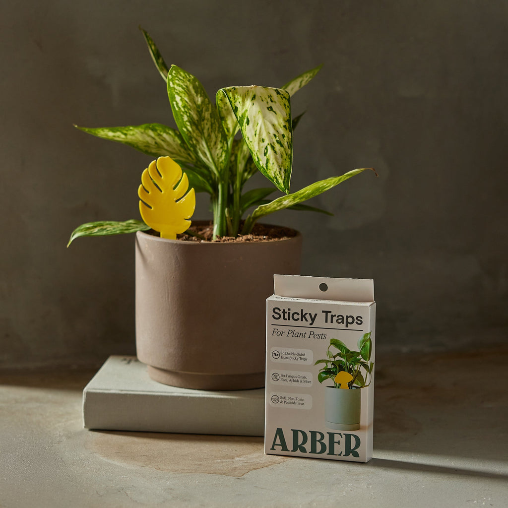 Arber Sticky Traps - For Plant Pests