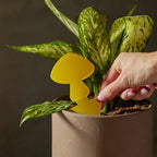 Arber Sticky Traps - For Plant Pests
