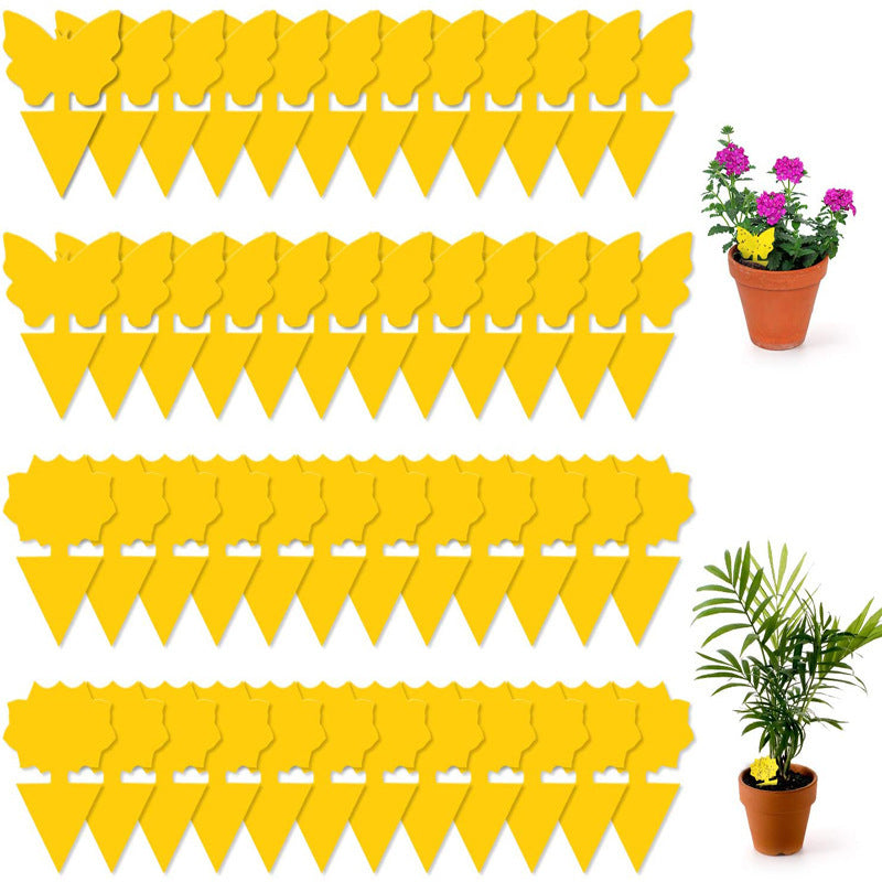 Plant Sticky Trap - For Gnats and Pest