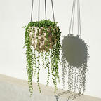 The Creature Orb Hanging Planter - For Hanging Plants