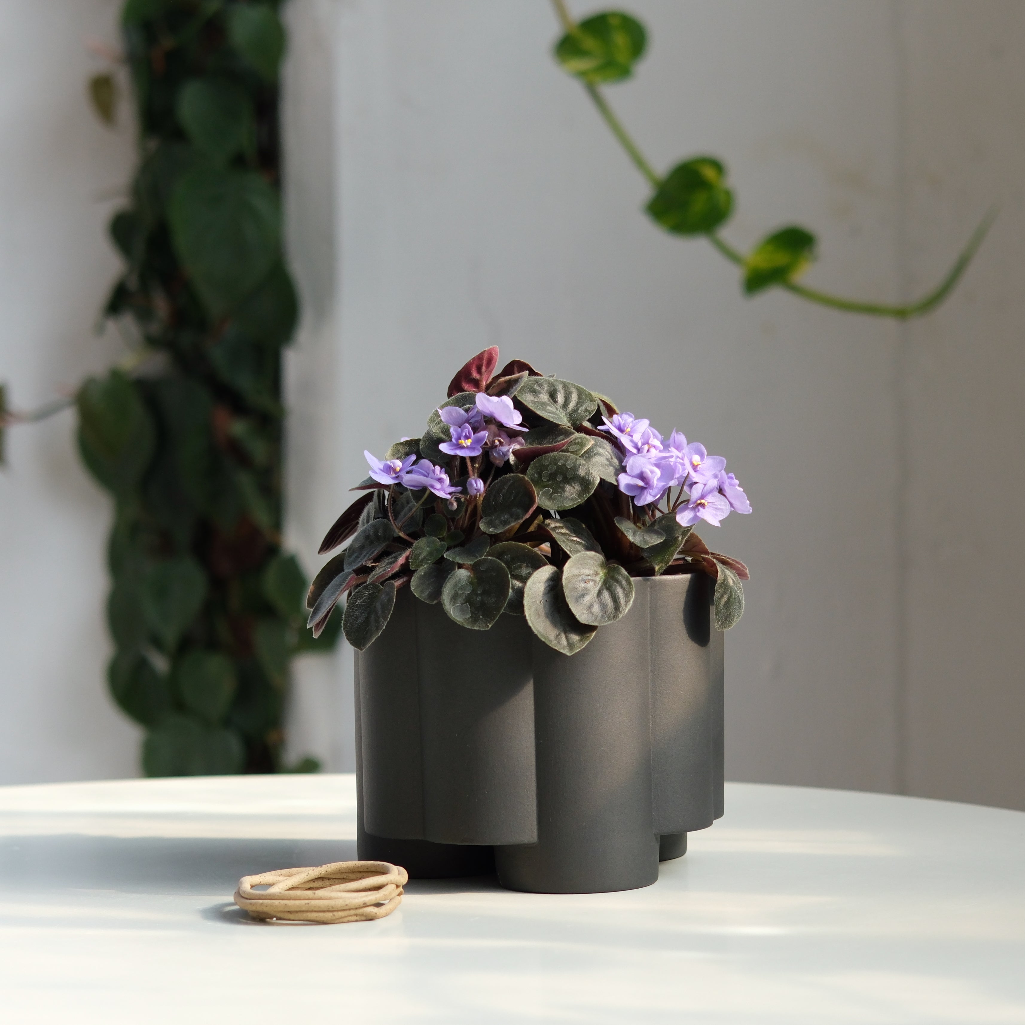The Pillar Planter - Ceramic, 6 Inch