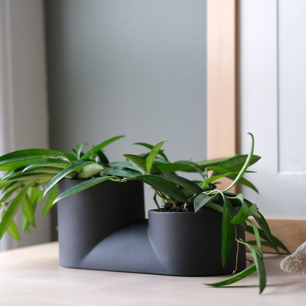 The Double Planter - Ceramic, Dual Plants