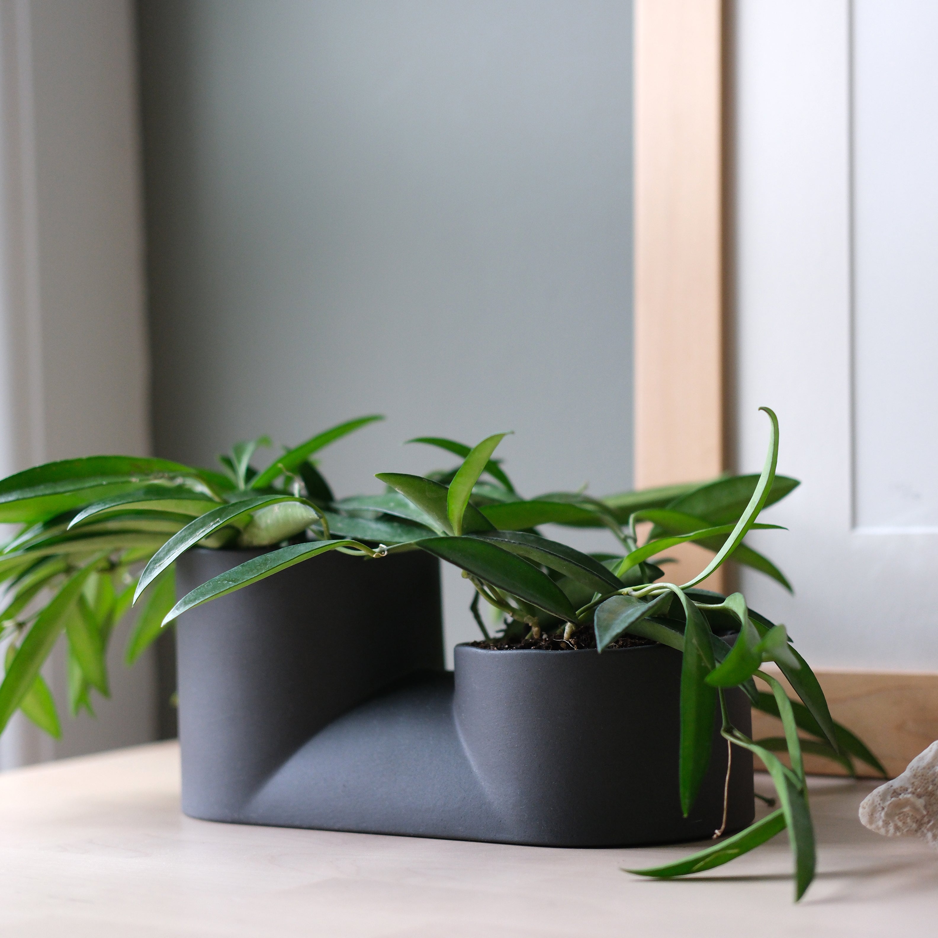 The Double Planter - Ceramic, Dual Plants