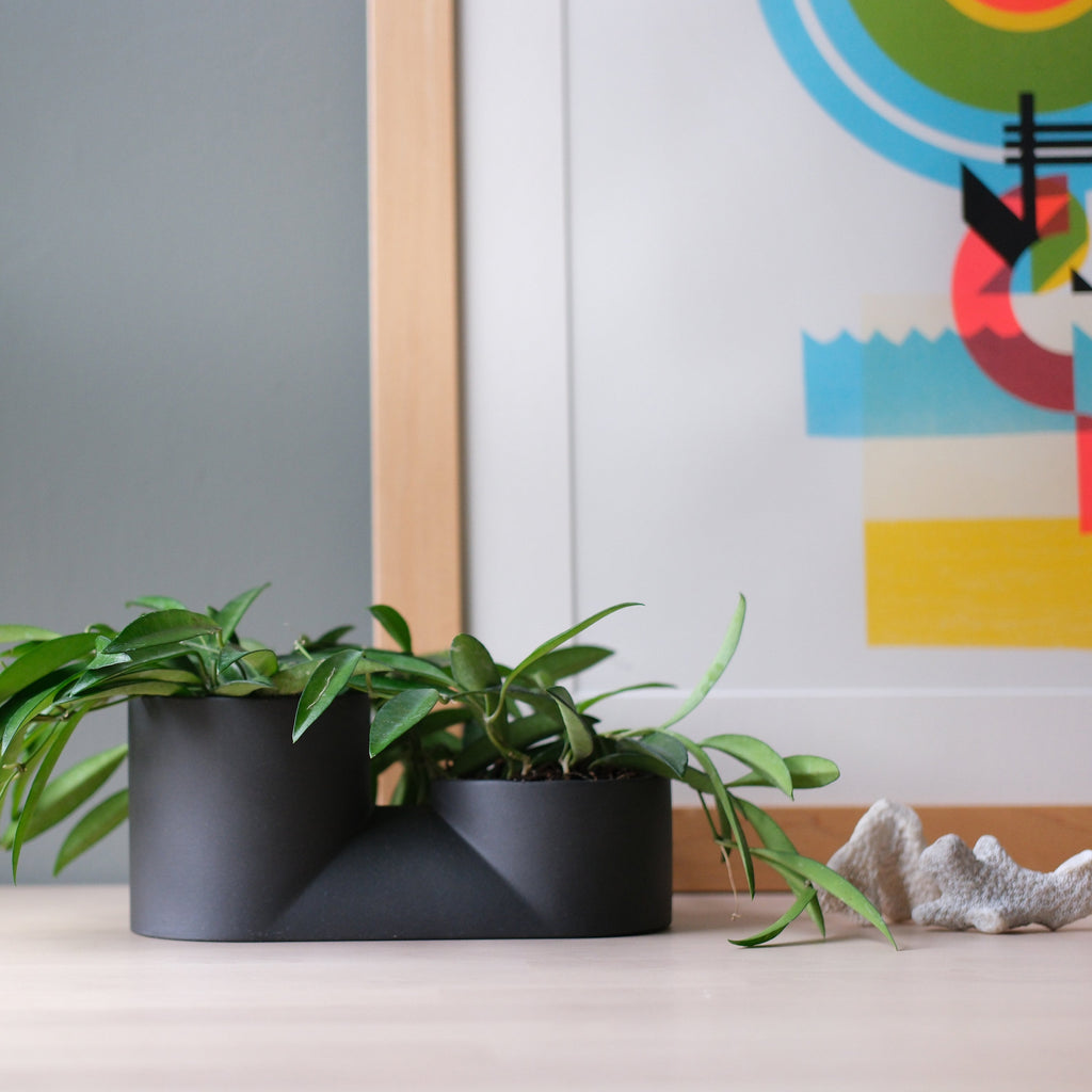 The Double Planter - Ceramic, Dual Plants
