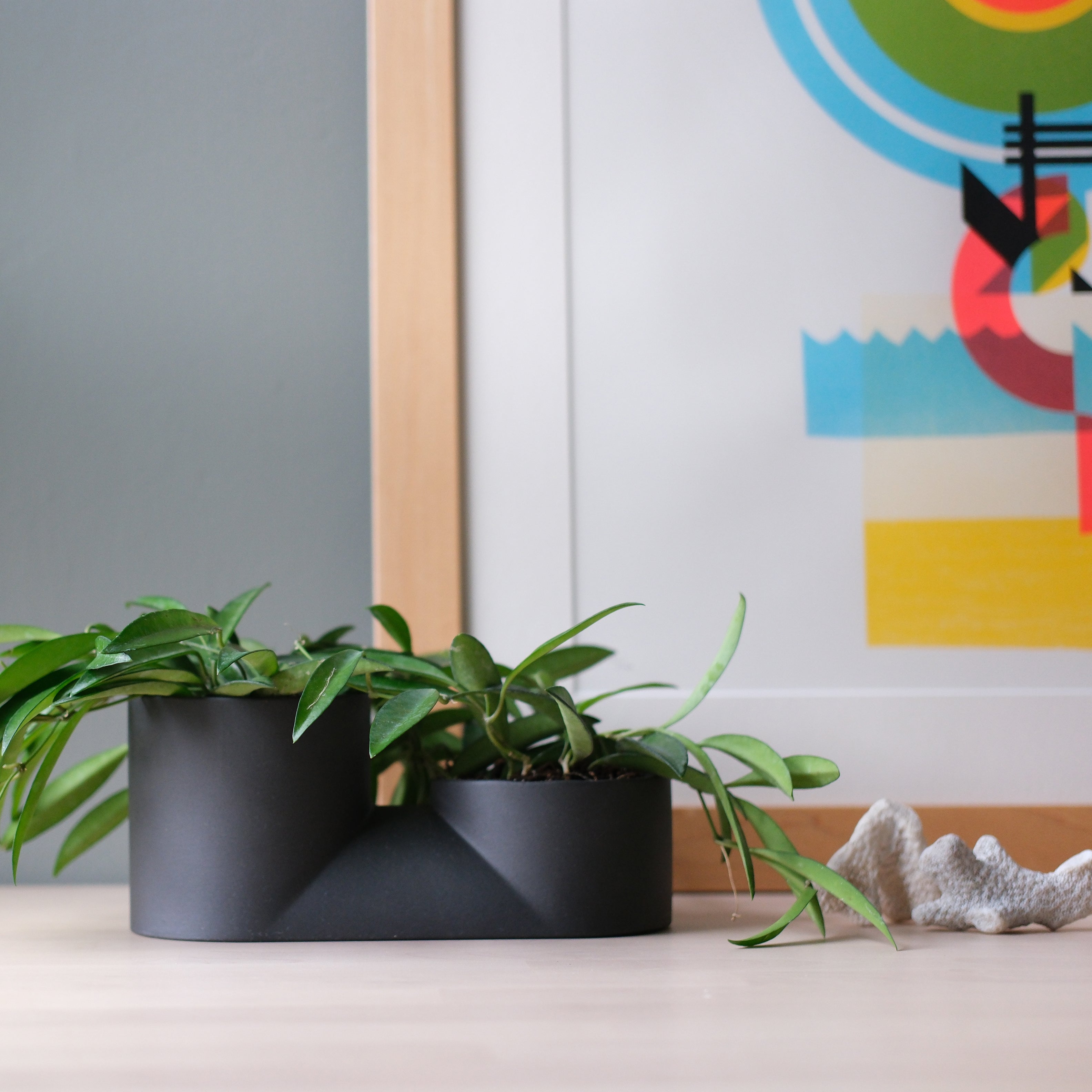 The Double Planter - Ceramic, Dual Plants