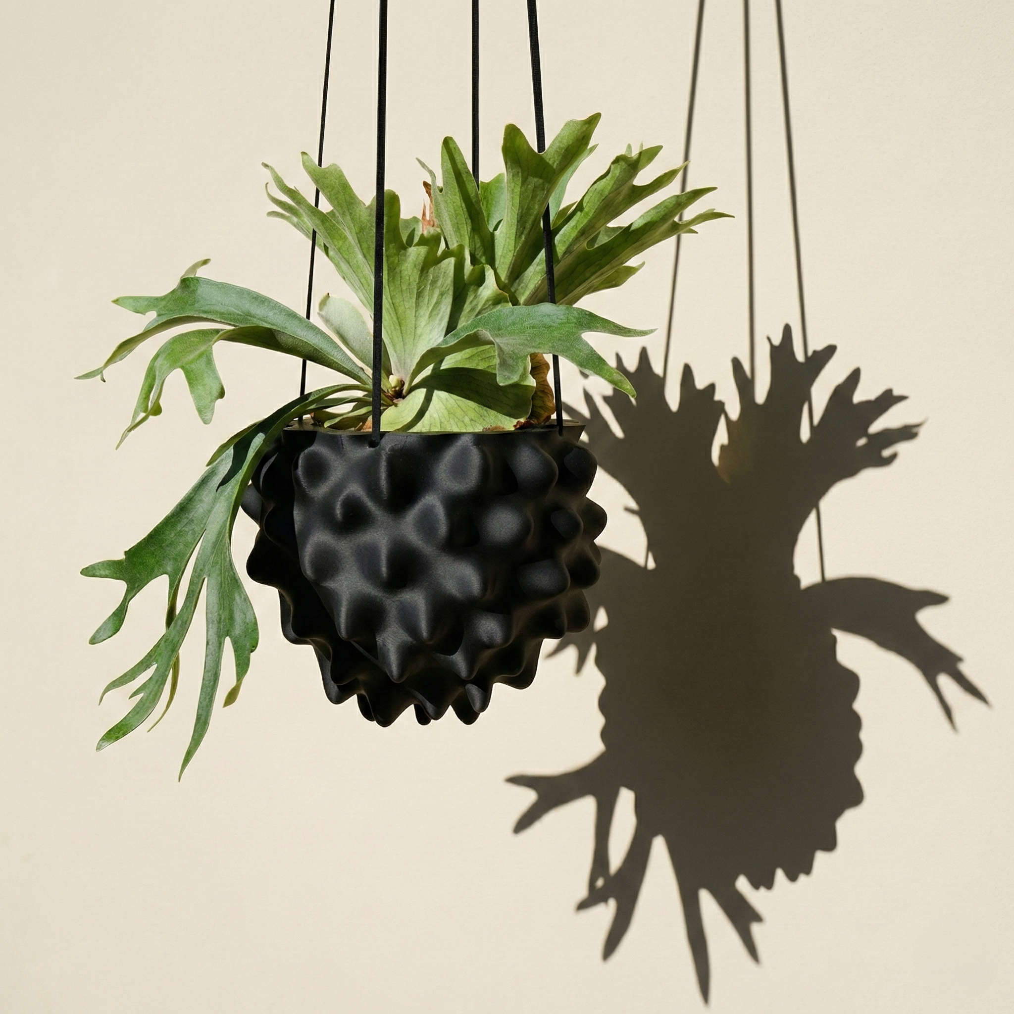 The Creature Orb Hanging Planter - For Hanging Plants