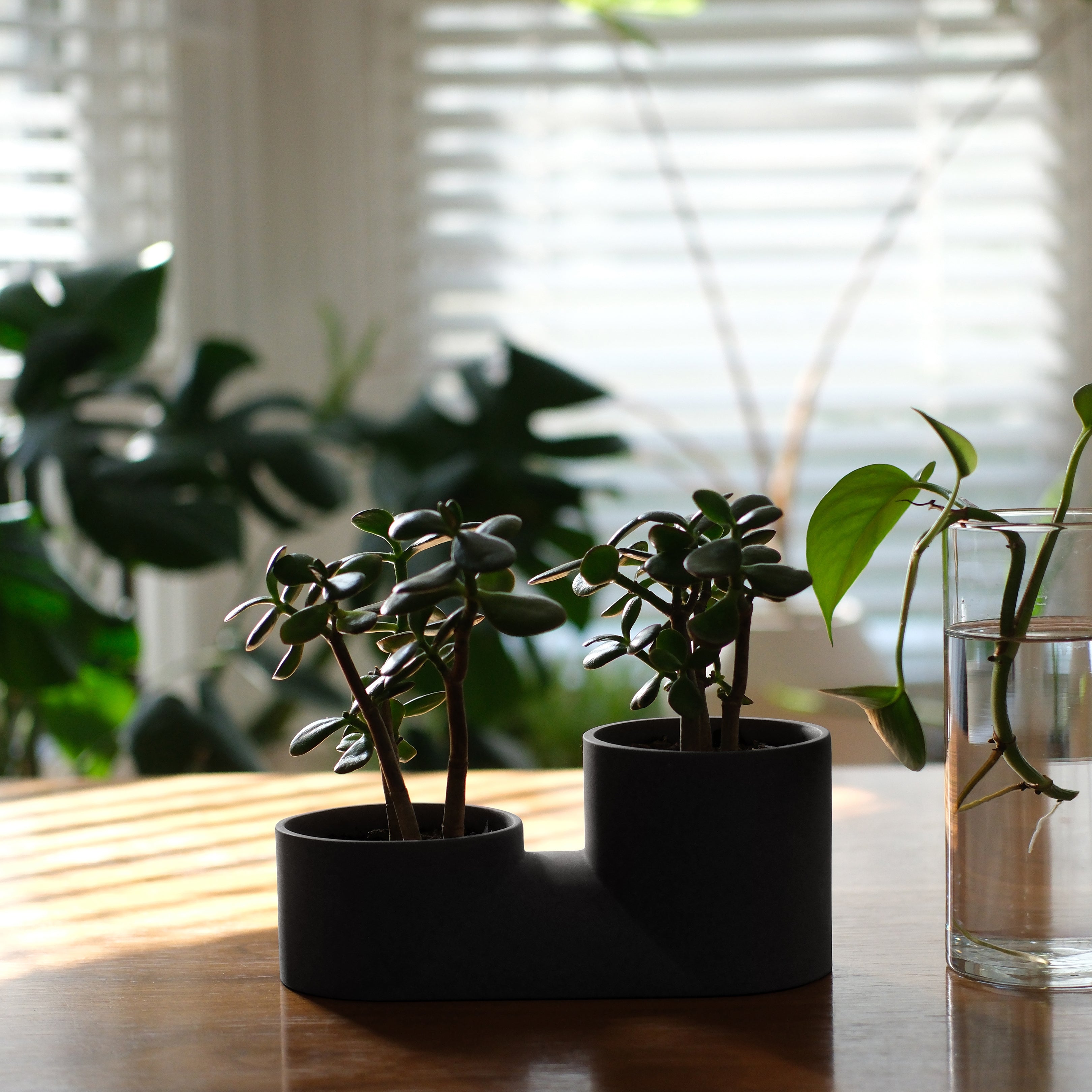 The Double Planter - Ceramic, Dual Plants