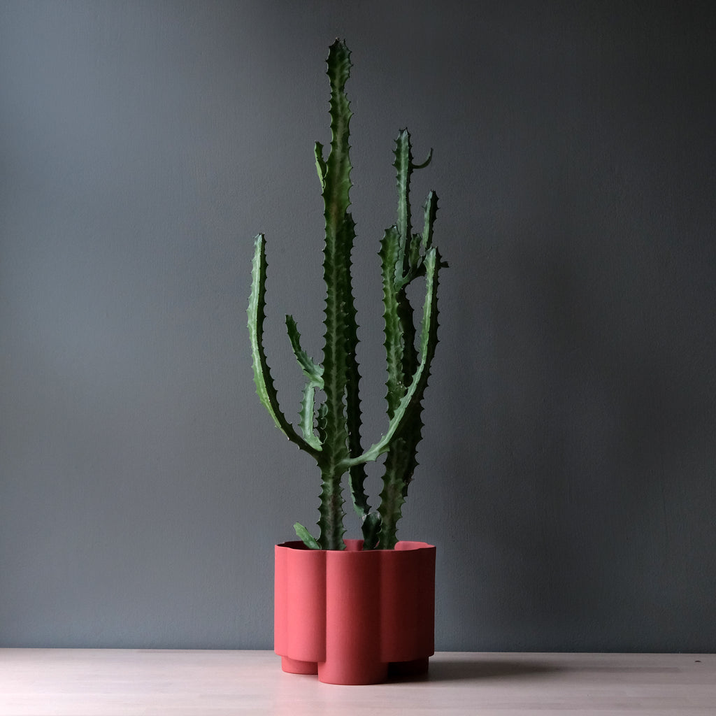 The Pillar Planter - Ceramic, 6 Inch
