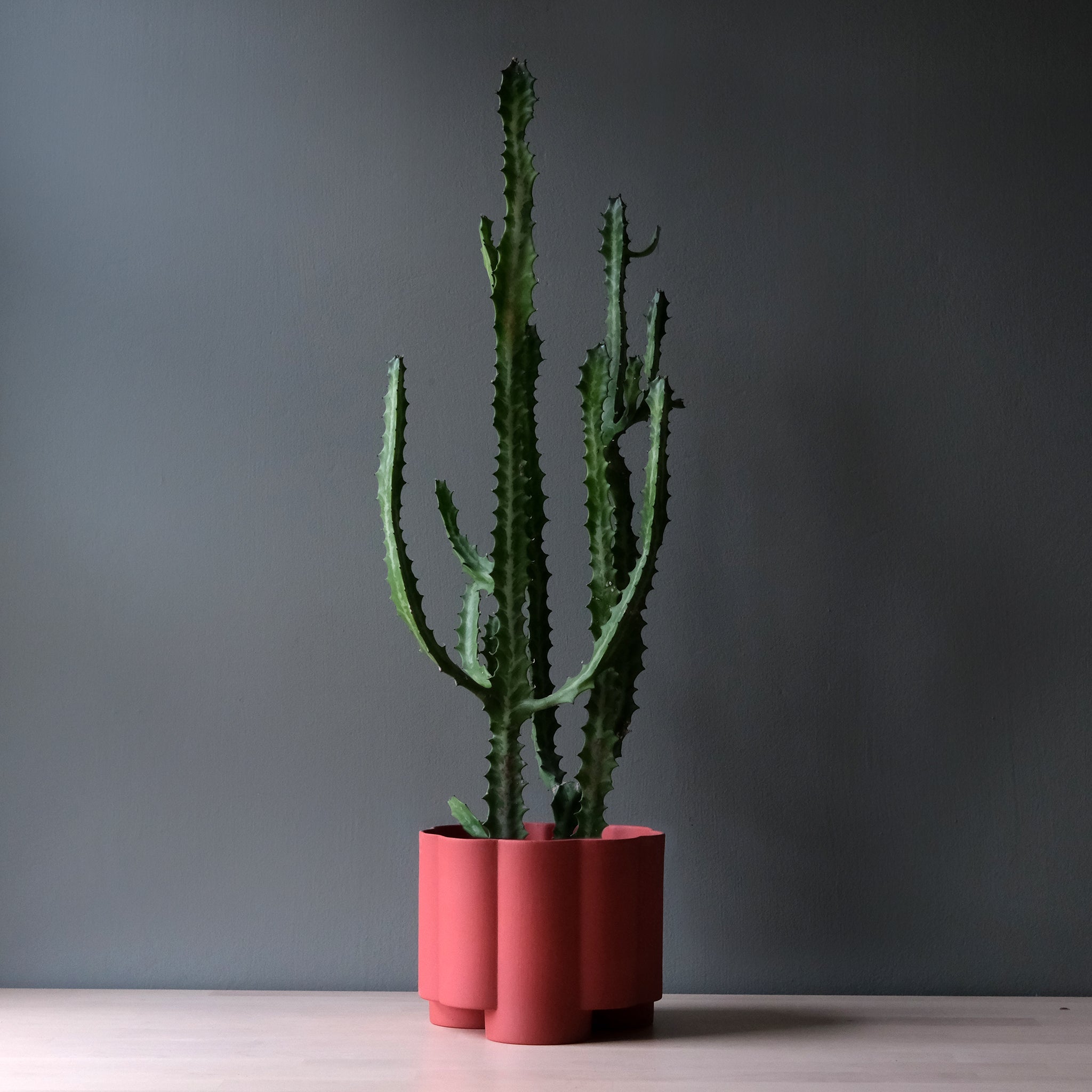 The Pillar Planter - Ceramic, 6 Inch
