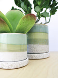 Cement Green Ceramic Planter - 3 and 5 Inch, Handmade