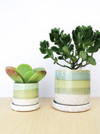 Cement Green Ceramic Planter - 3 and 5 Inch, Handmade
