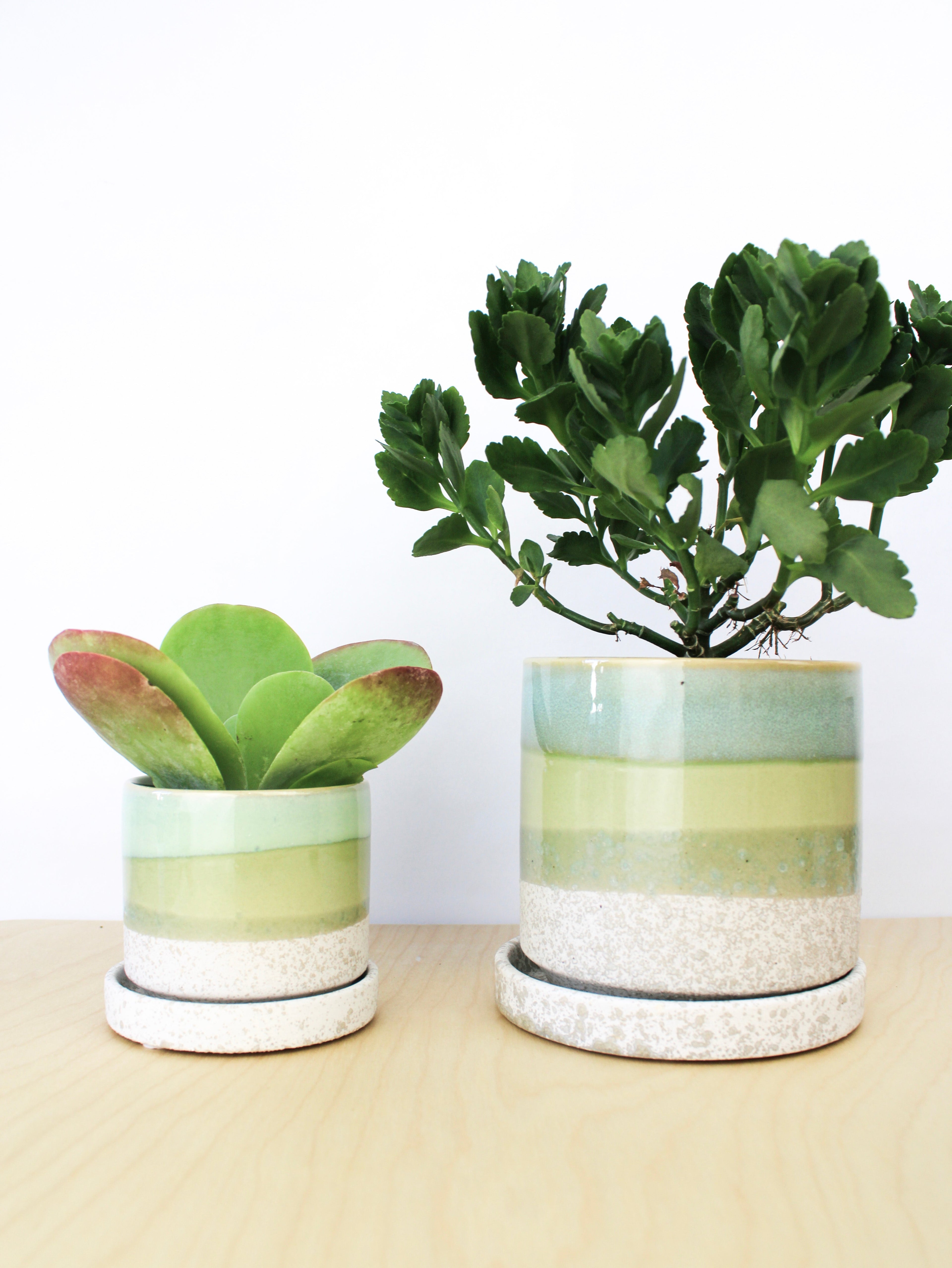 Cement Green Ceramic Planter - 3 and 5 Inch, Handmade