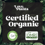 Black Magic Biochar - Premium Additive