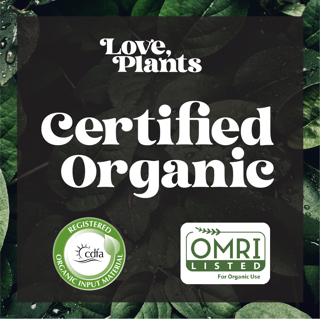 Black Magic Biochar - Premium Additive