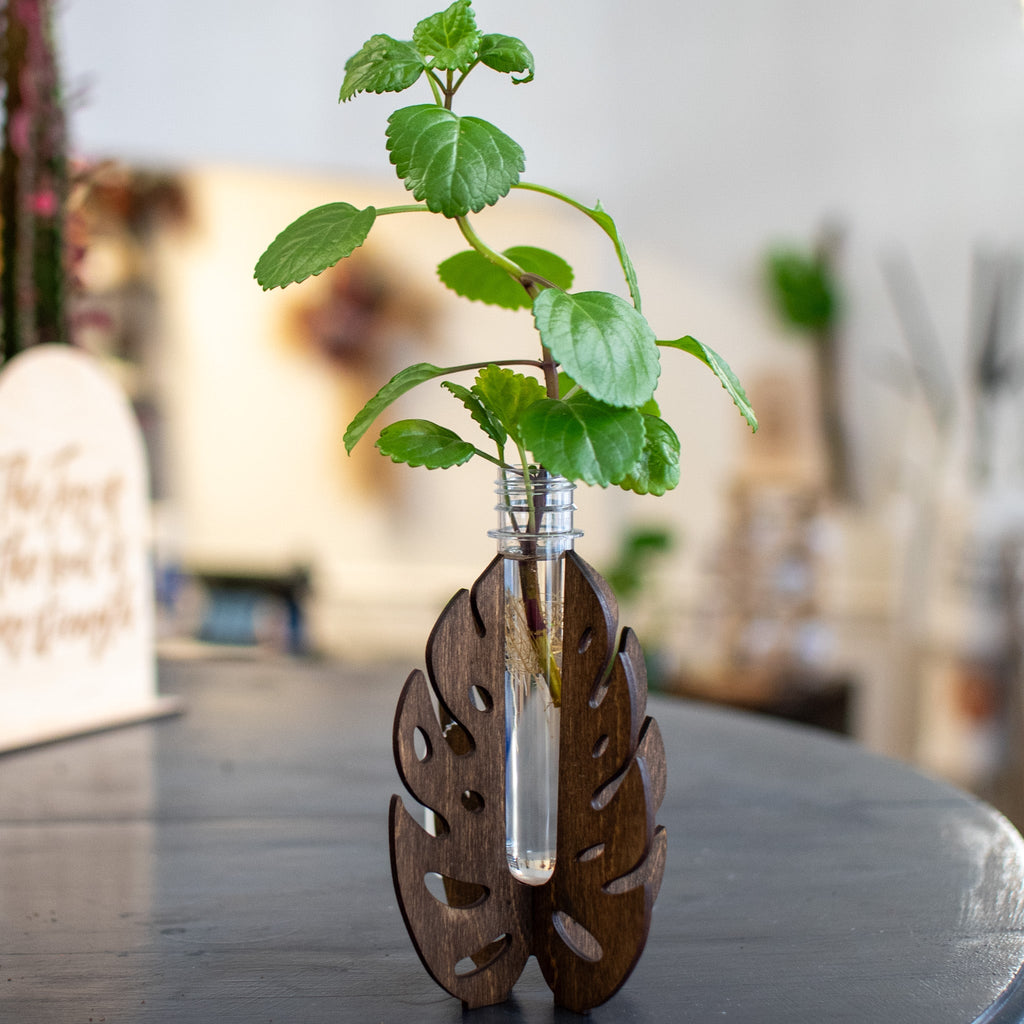 Monstera Propagation Station - Stand