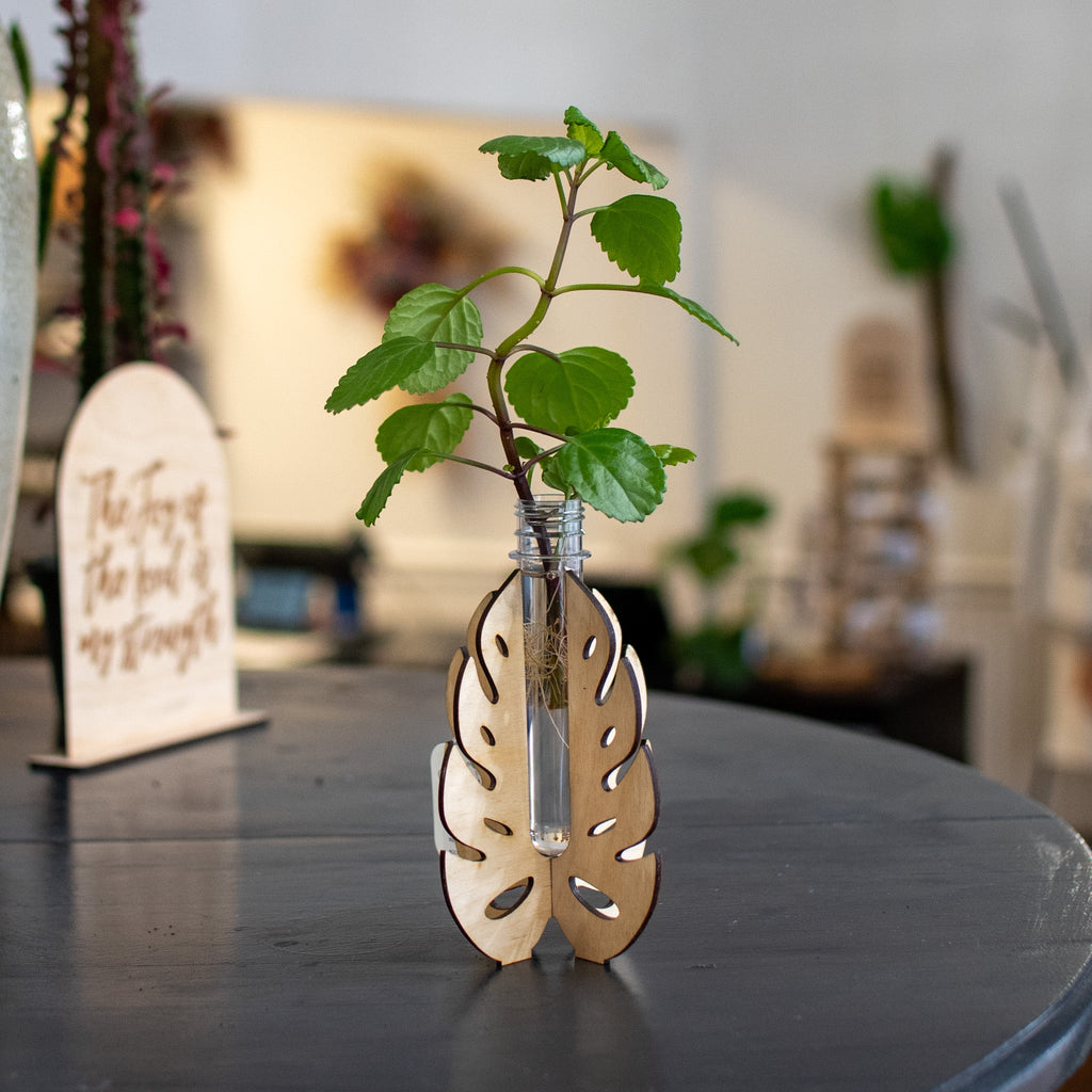 Monstera Propagation Station - Stand