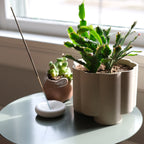 The Pillar Planter - Ceramic, 6 Inch