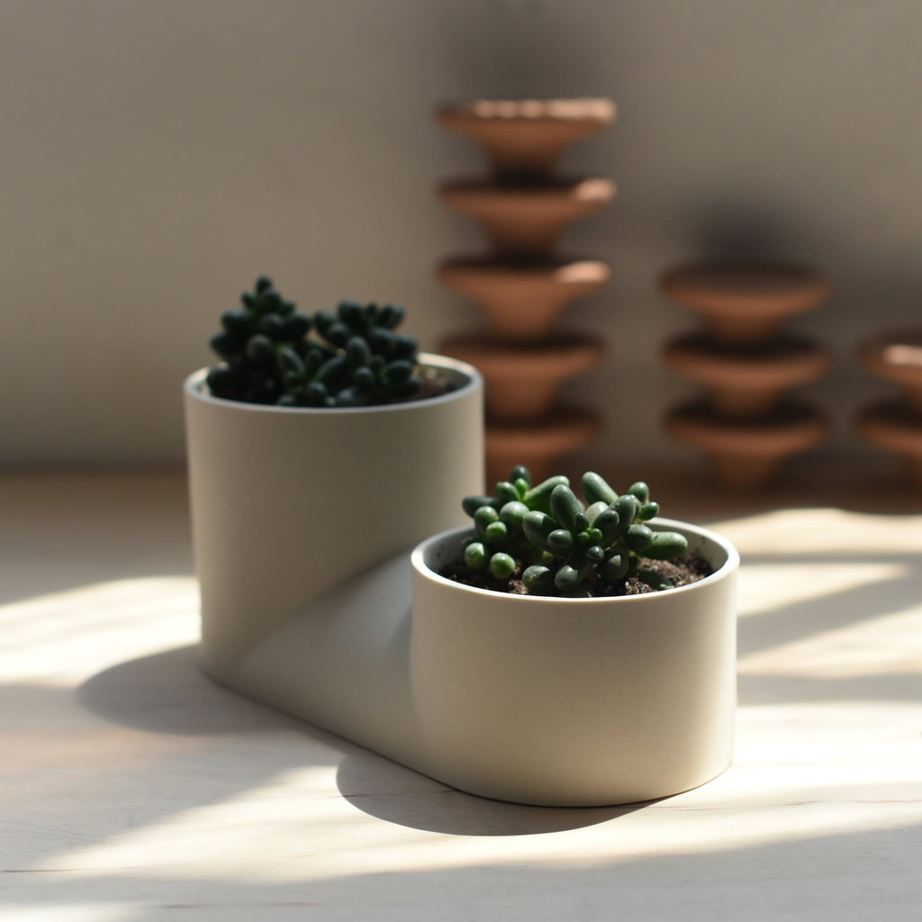 The Double Planter - Ceramic, Dual Plants