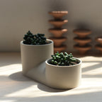 The Double Planter - Ceramic, Dual Plants