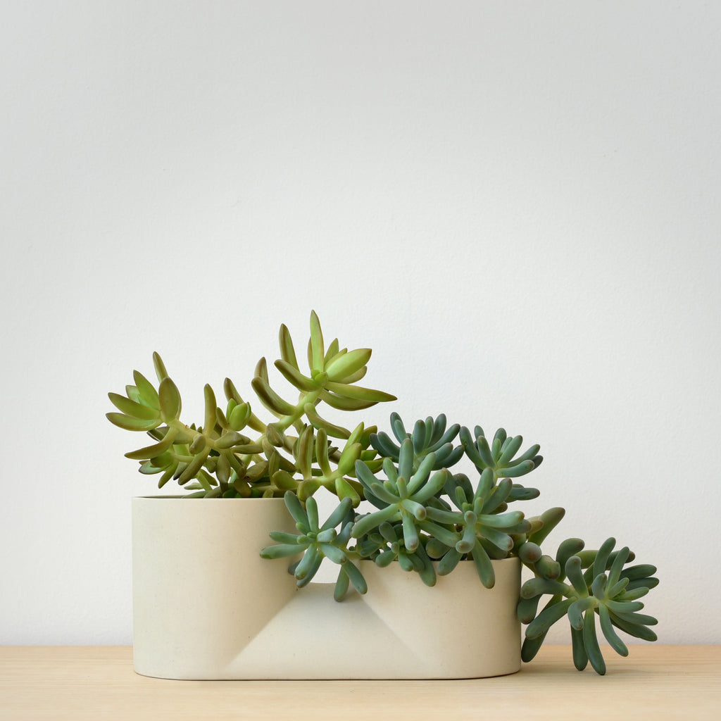 The Double Planter - Ceramic, Dual Plants