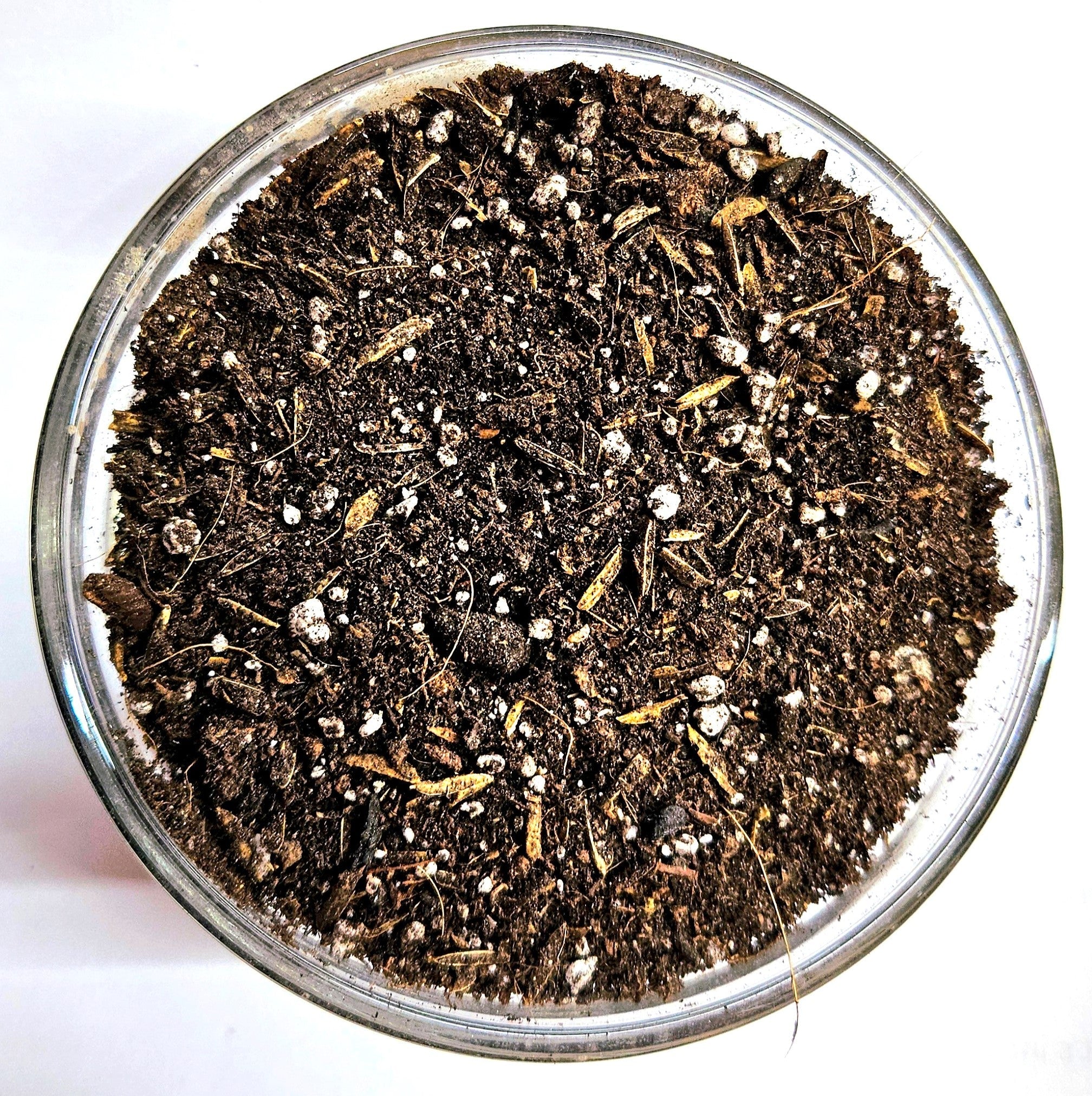 Elico Living Soil - All Purpose Potting Mix