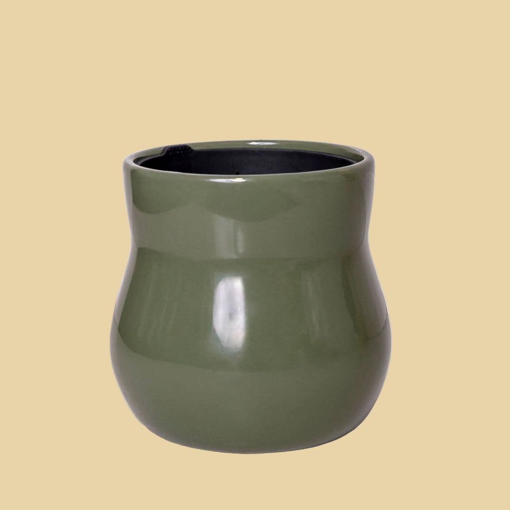 Green ceramic planter on a tan background
