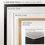 Sage Green Gallery Art - Set of 6, Wall Art