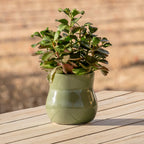 Ceramic Plant Pot - Rubber Liner