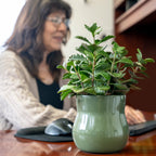 Ceramic Plant Pot - Rubber Liner