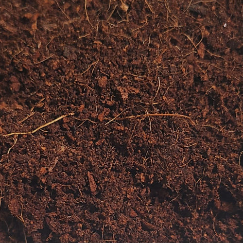 Premium Coconut Coir - Raw Material