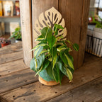 Monstera Plant Trellis - Premium Wooden Trellis 11 Inches