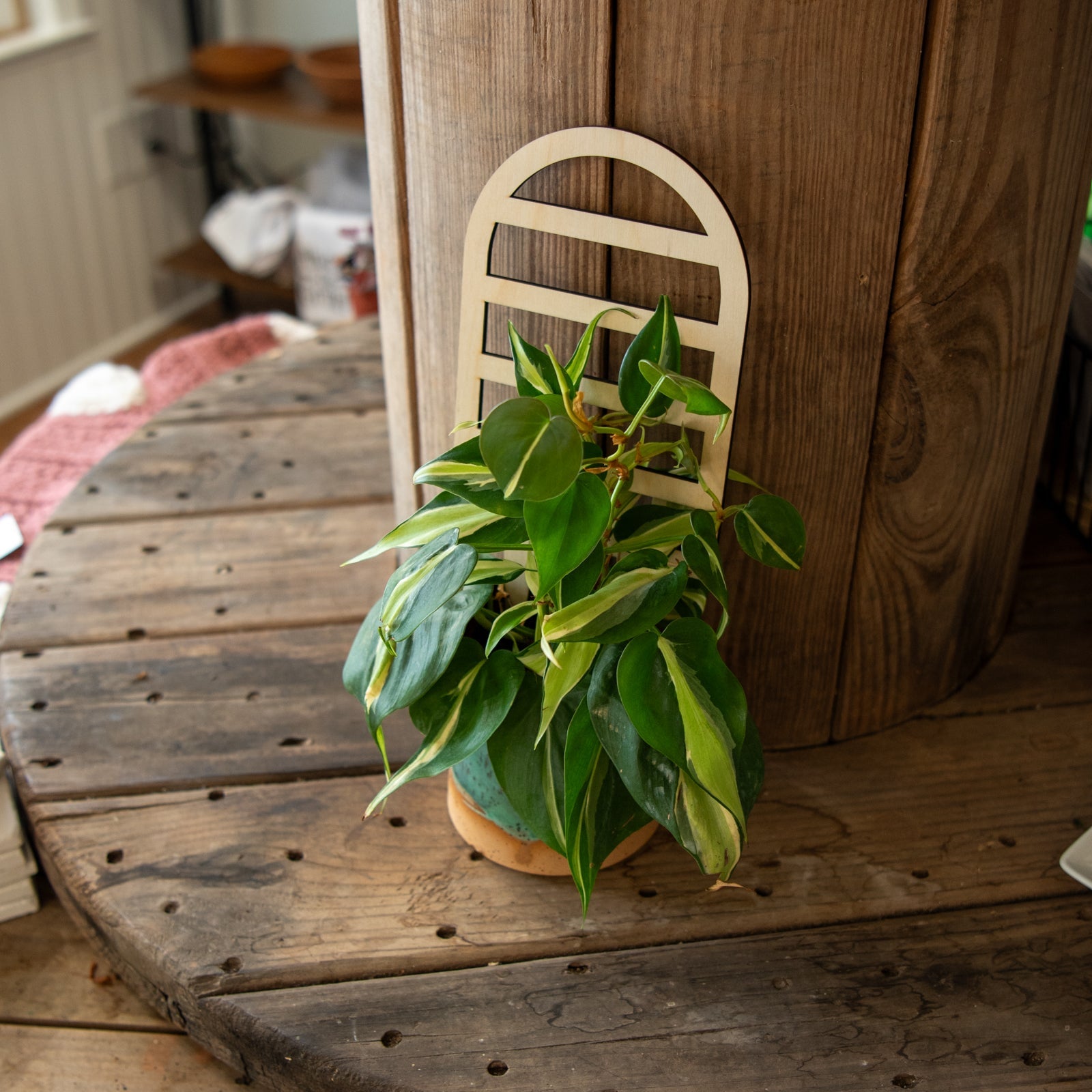 Arched Plant Trellis - Premium Wooden Trellis 11 Inches