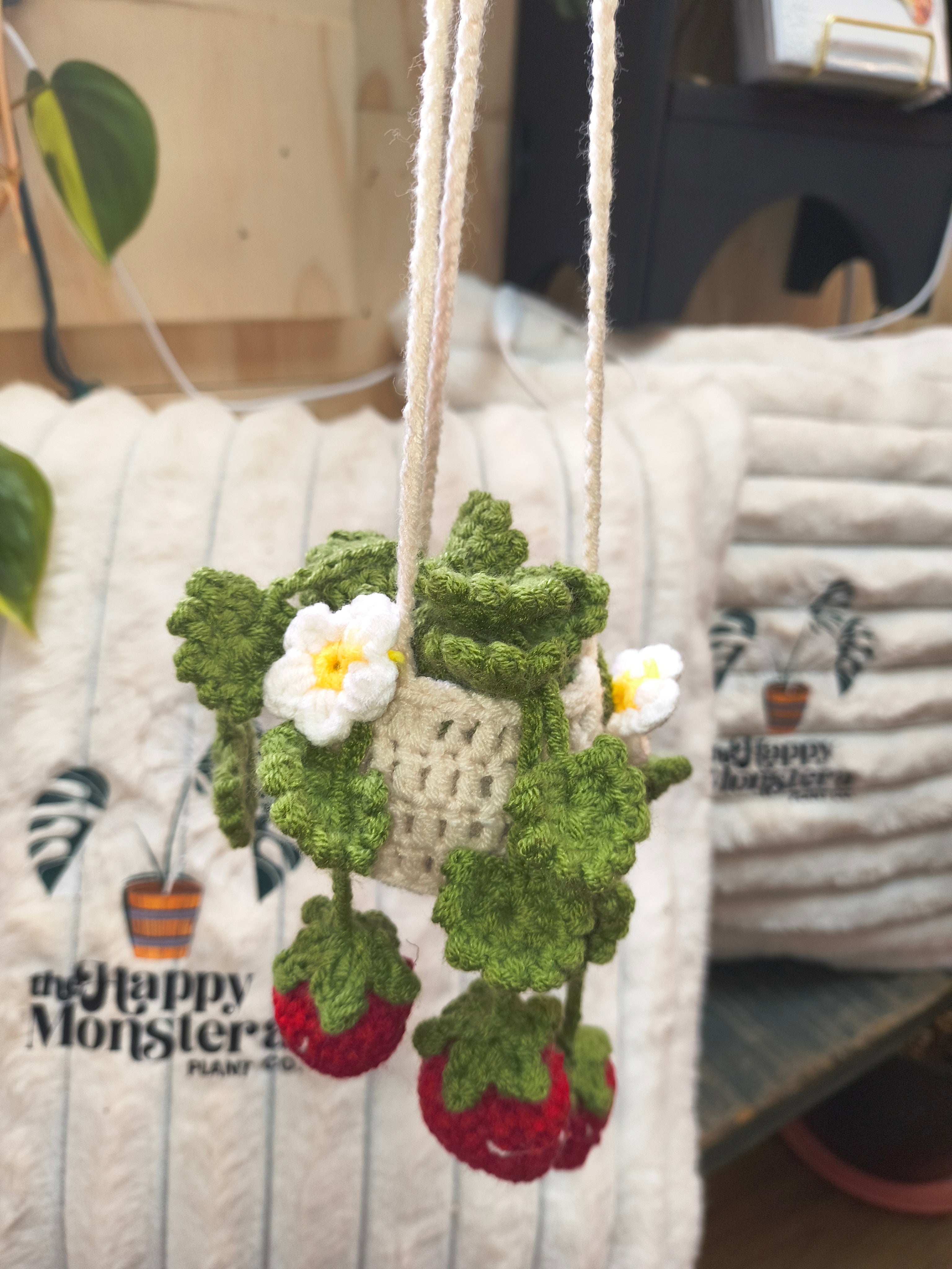 Crochet Hanging Plants - Liven Up Your Space