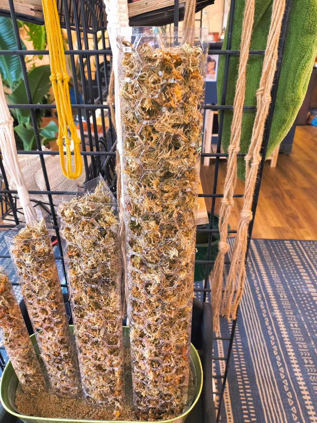 Geometric Moss Pole - Fillable Plant Support