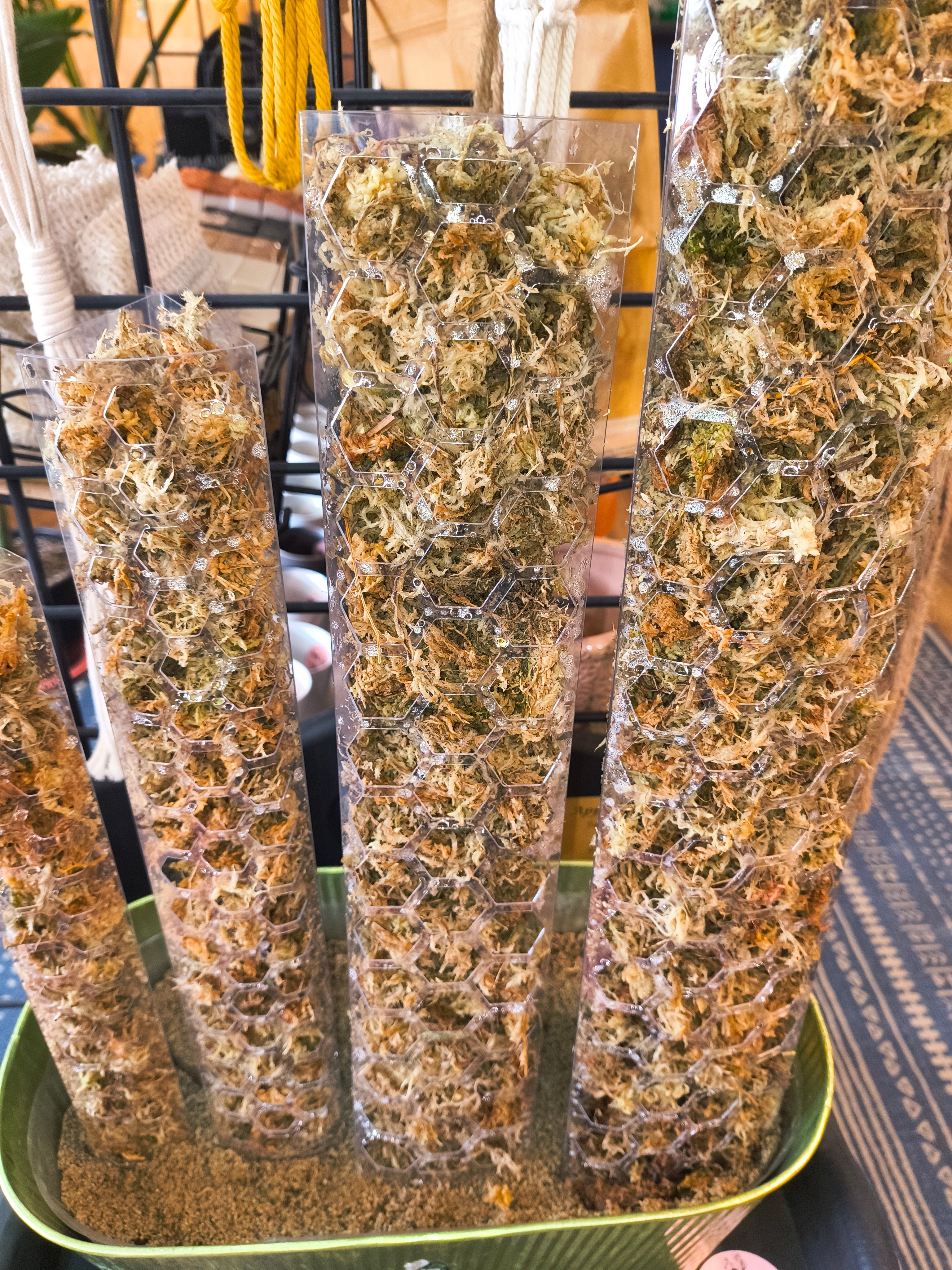 Geometric Moss Pole - Fillable Plant Support